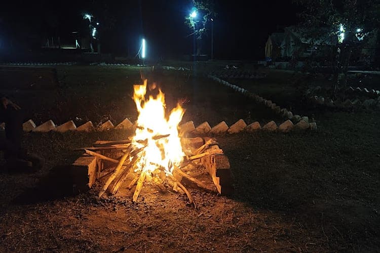 Bonfire Nights